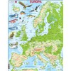 Larsen K70 Europe Physical Map Italian Edition Frame Puzzle with