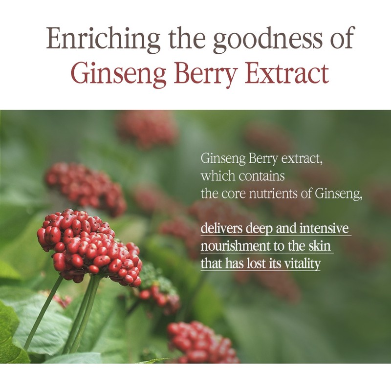 Pyunkang Yul [Pyunkang Yul]Black Tea Boosting Serum 45ml