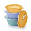 Tupperware Essentials Store Serve & Go Bowl Set, Medium, 3