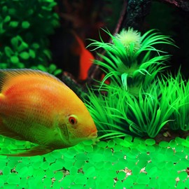 Oubest Glow in The Dark Rocks Glow Pebbles Decor for Garden/Fish Tank/Aquarium/Walkway/Driveway/Plant Pots/Bonsai (100, Green)