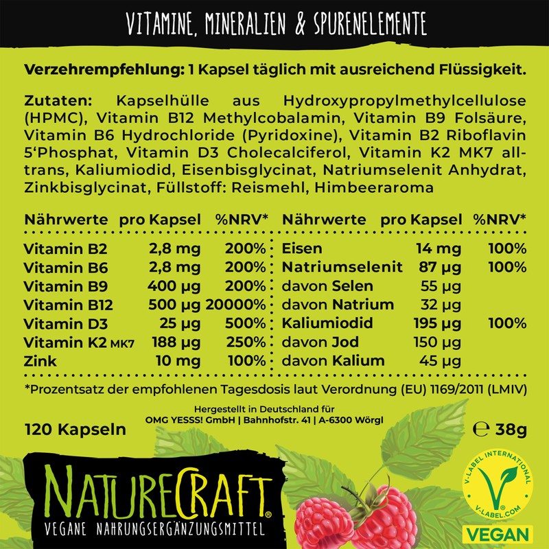 Vegan All-in-One - Vitamin B12+D3+K2+B2+B6+B9 Folic Acid + Zinc +