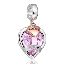 AMATOLOVE Rose Gold Plated Love Heart Birthstone Charms for Bracelets Graduation Girls Boys Modesty Bead Charm Jewellery