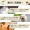 ワンちゃんの腸活＆免疫ケア！マリウェル【海藻・納豆・乳酸菌・ビール酵母配合】正規品｜皮膚・毛並み・高齢犬サポート【犬用サプリ】Mariwell 腸内フローラを整え便秘にも アスコフィラムノドサム