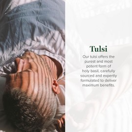 Global Healing Center NSN Naturalsmart Nutrition Global Healing - Tulsi Orgánico (Extracto de Hoja de Albahaca Sagrada), Gotas de Suplemento Líquido Vegano, 2 oz