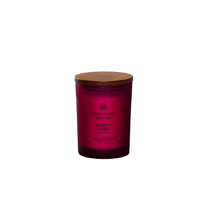 Chesapeake Bay Candle PT41689 Candle, Medium Jar, Dream & Inspire,