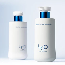 Olive Young Hair 2nd Place LBB Volume Functional Anti-Hair Loss Shampoo 400ml / 올리브영 헤어 2위LBB 엘비비 볼륨 기능성 탈 모 샴푸 400ml