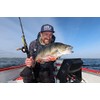 Berkley Powerbait Pike2 Pro Pack - 3Pk
