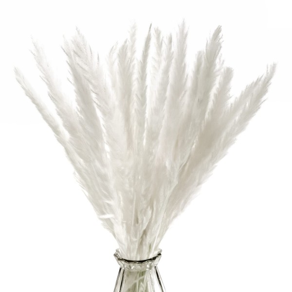 30 PCS Natural Pampas Grass Decor Dried Pampas Grass Decor Tall Reed Grass Bouquet for Wedding Boho Flowers Home Table Decor Rustic Farmhouse Party（White）