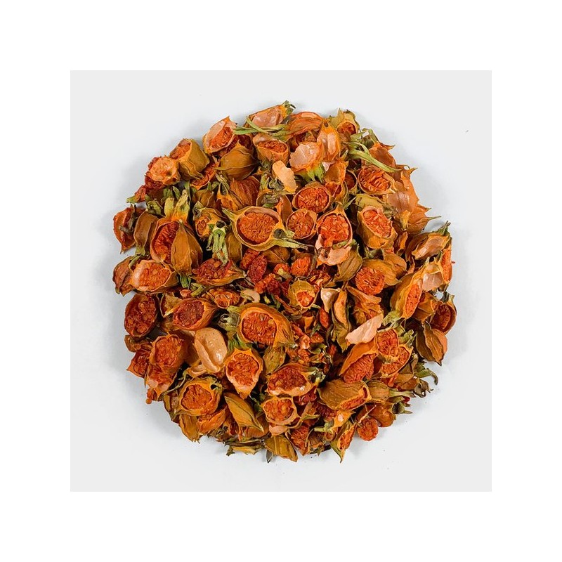 Oherb 국내산 치자 치자열매 절 250g (국내산 100%) Domestic Gardenia