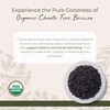 Starwest Botanicals Chaste Tree Berries Organic - Dried Loose Leaf