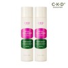 CKD 레티노콜라겐 저분자 300 퍼스트에센스 150ml 2개 CKD Retinol Collagen