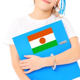 Flag of Niger Sticker Decal Notebook Car Laptop 5.5"x4" (Color)