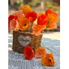 Orange Crepe Paper Poppy Flower DIY Making Kit Home Decoration