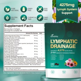 Lymphatic Support Capsules – Promotes Circulation, Detox & Reduces Swelling – Echinacea, Dandelion, Nettle, Burdock, Calendula, Red Clover – 240 Capsules