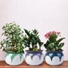 LITUDISO African Violet Pots, 6 Inch Self Watering Pots for