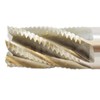 Shars 1-1/2" x 3/4" M2AL 6 Flute Roughing End Mill