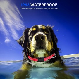 YENTEN Nylon Pet Dog Collar with AirTag Holder for Small Medium Dogs, Reflective, Waterproof & Safety Locking Buckle, Supports Tying Traction Rope, Adjustable for All Breeds, Red, M（14-20 inches）