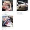 Coreman Alkaline Shad 3.5 inches (90 mm) #012 Pink Pearl