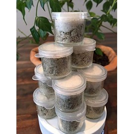 Spiritual House-Cleansing Protection Herbal Salt