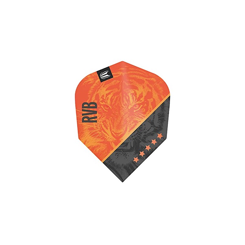 Target Darts Unisex's Raymond Van Barneveld RVB Gen 4 Pro