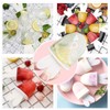 Zaloife Ice Lolly or Popsicle Moulds, Set of 6, LFGB