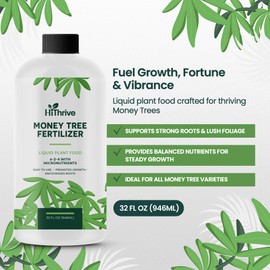 32oz Money Tree Fertilizer - Makes 96 Gallons of Fertilizer for Money Tree Plant Indoor and Outdoor - 6-2-4 NPK Plant Food for Glossy Leaves, Strong Roots, and Lush, Tropical Growth