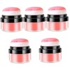 Minkissy 5pcs Women Loose Powder Blush with Puff for Cheeks