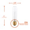 Xtricity 25 Watt T10 Clear Tubular Incandescent Light Bulb, Showcase