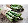 Asparagus Seeds for Planting, 50 Mary Washington Garden Vegetable Seeds,