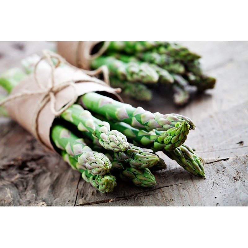Asparagus Seeds for Planting, 50 Mary Washington Garden Vegetable Seeds,