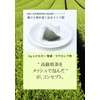 Chaku Sakyu Mellow Sencha Tea Bag, Satoyama Shizuku (0.2 oz