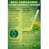 Organic Oregano Oil Drops 80% Carvacrol - Oil of Oregano