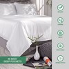 Pure Bamboo Queen Sheets, Genuine 100% Organic Viscose Derived from