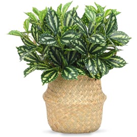 CATTREE Artificial Shrubs, Plastic Plants Speckle Grass Fake Green Bushes Greenery Leaves Wedding Indoor Outdoor Home Garden Verandah Office Table Centerpieces Arrangements Decoration 4 pcs