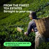 Udyan Tea Darjeeling Summer Glory Black Tea, 100g (50 Cups)