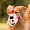 Dog Basket Muzzle for Anti Biting & Chewing, Lightweight Cage