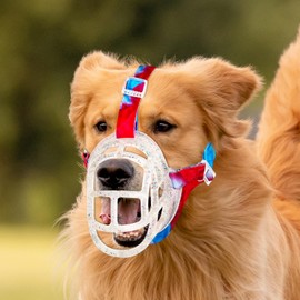 Dog Basket Muzzle for Anti Biting & Chewing, Lightweight Cage Design Allows Panting & Drinking, Adjustable Fit for Small Medium Large Dogs, Ideal for Grooming (Transparent, Size3(10.6-11.8))
