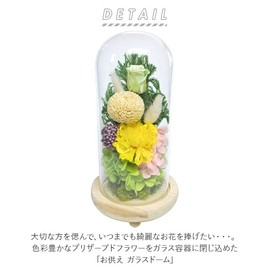 Offering Glass Dome Glass Dome Shizuki