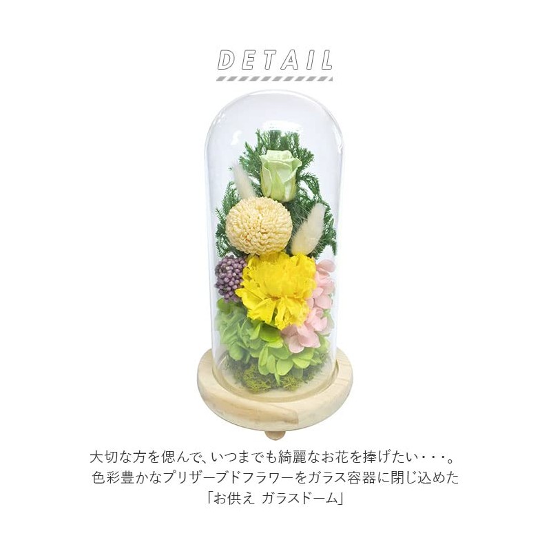 Offering Glass Dome Glass Dome Shizuki
