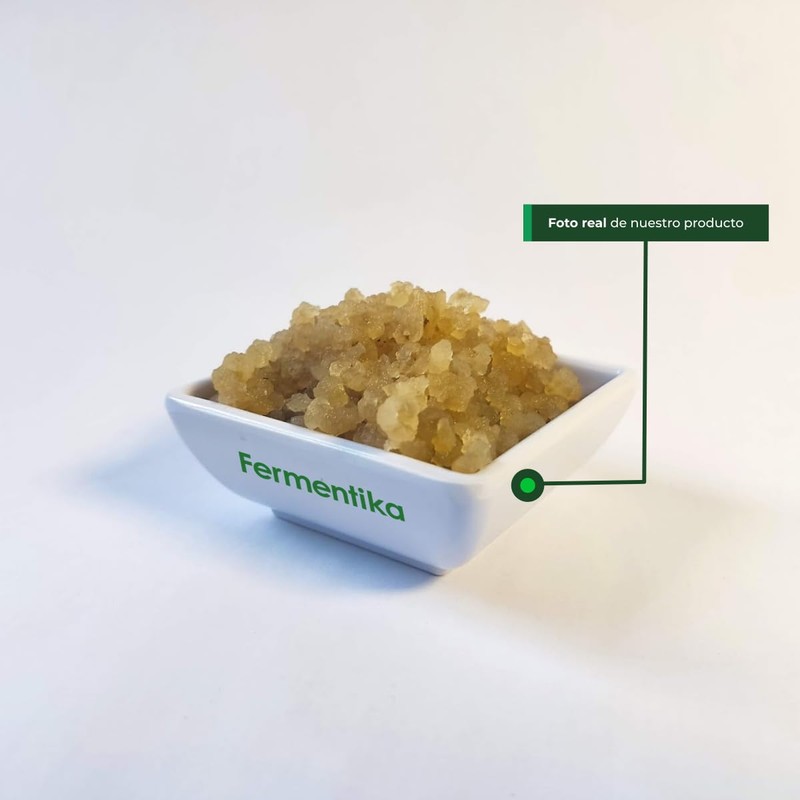kefir tibicos bulgaros de agua hongos del tíbet probióticos