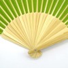 Nishikawa Shoroku Shoten Lotus Fan (Light Green), Open State: H
