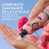 Crema Peinar Suavidad Herbal Essences 300