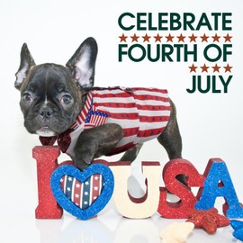 Kuoser Independence Day Dog Tuxedo Dog Suit and Bandana Set, 4Th of July Dog Costume American Flag Dog Outfit with Bow Tie for Large Medium Small Dogs Golden Retriever Samo Bulldogs, S