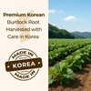 TERRAPICK Roasted Korean Burdock Root Tea 120g (4.23oz) – Natural