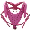 haoyueer Leather Spiked Studded Medium & Large Dog Collars, Harnesses