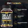 Shilajit Gummies - 3 in 1 with Sea Moss, Black