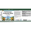 Echinacea Purpurea Herb 4:1 Extract - 450 mg (100 Capsules,