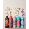 Tesori d'Oriente Fabric Softener Byzantium Black Rose and Labdanum 25.69