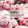 ROSE COTTAGE Large 12 Packs Rose Hanging Closet Deodorizer Air