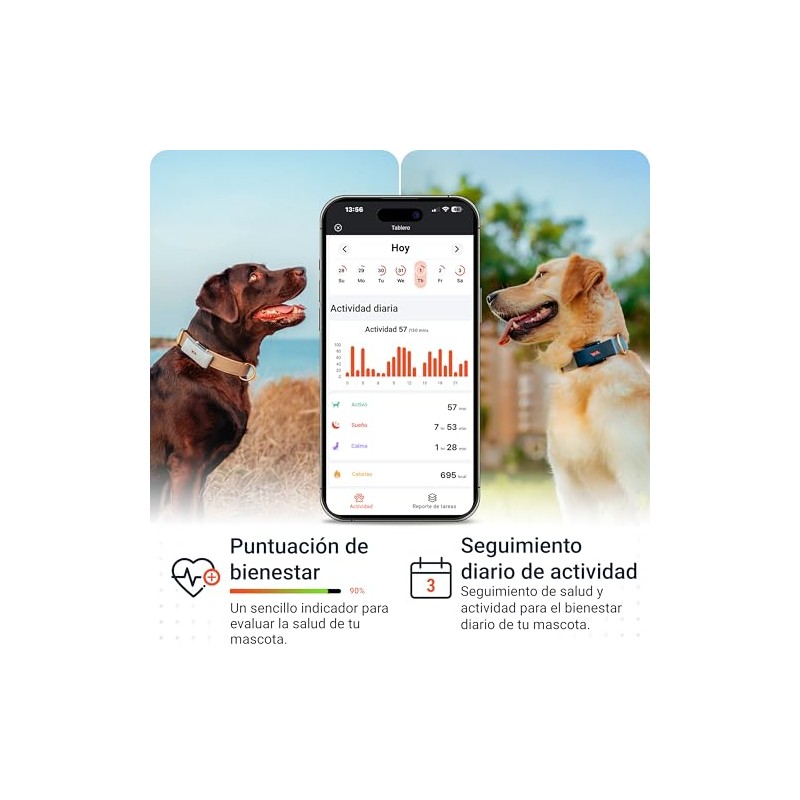 PAJ Localizador GPS Perros 4G - Incl. 3 Meses de